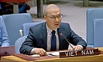 Vietnam calls for stronger efforts in protecting civilians in conflicts