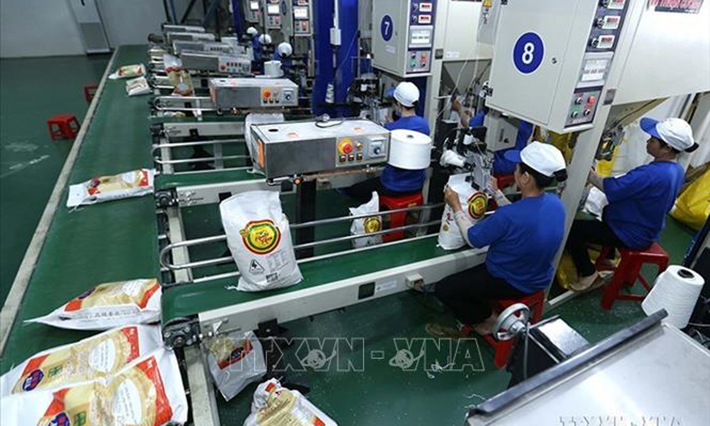 Dây chuyền đóng bao gạo xuất khẩu tại nhà máy của Công ty CP nông nghiệp công nghệ cao Trung An (Cần Thơ). Ảnh tư liệu: Vũ Sinh/TTXVN
