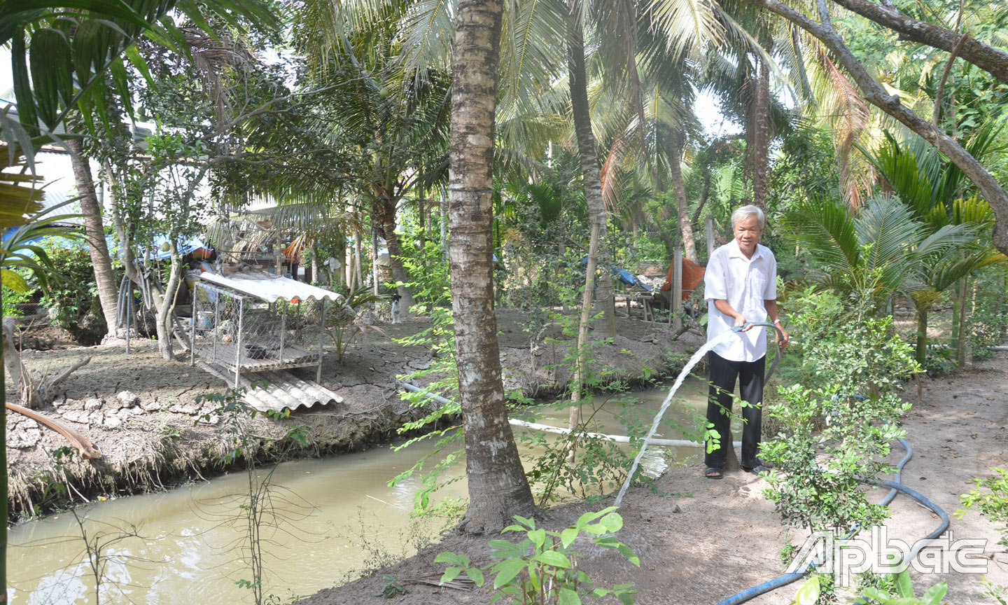 Nước ngọt vào mương vườn dồi dào, gia đình ông Đua không còn phải lo chuyện bơm chuyền.