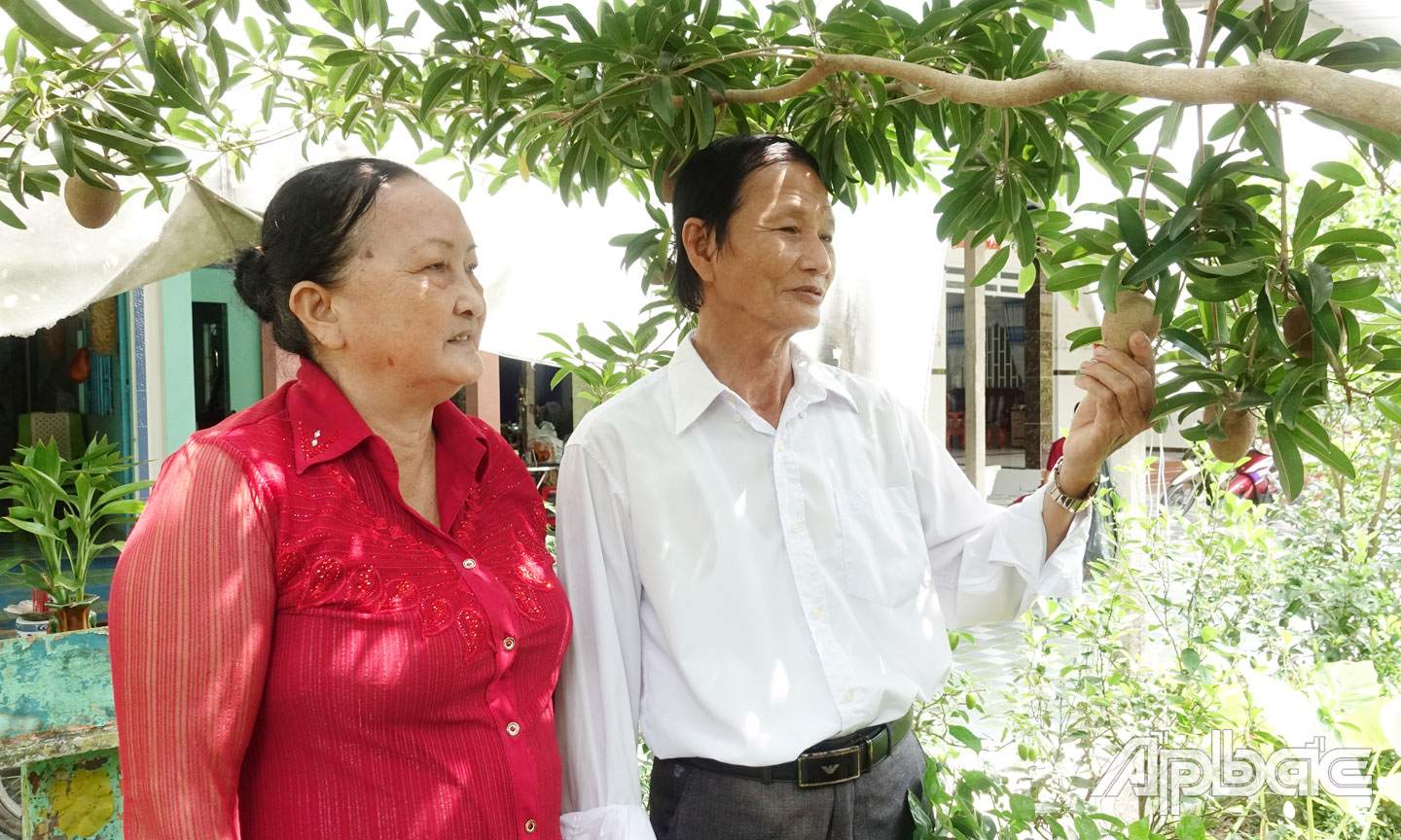 Ông Phan Văn Trung và bà Võ Thị Thanh Tuyền (ấp Xuân Quang, xã Hội Xuân) bên vườn cây ăn trái của gia đình.