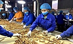 Vietnam's cinnamon exports hits over 96.3 million USD in five months