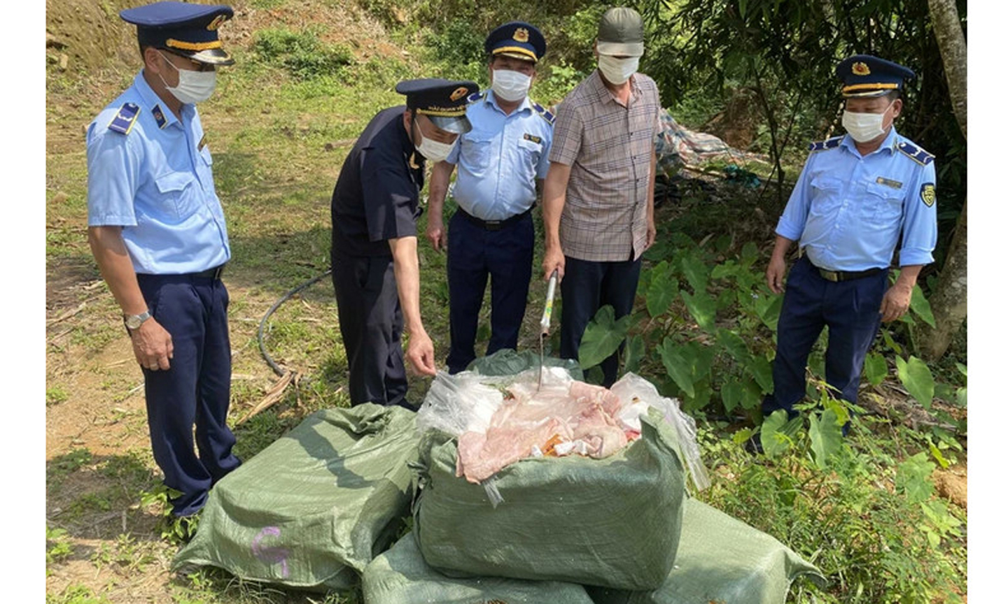 Các lực lượng chức năng huyện Bình Liêu (Quảng Ninh) tổ chức tiêu hủy 550kg nầm lợn không rõ nguồn gốc, xuất xứ, bắt giữ hồi cuối tháng 4 vừa qua. Ảnh: Hoàng Gái