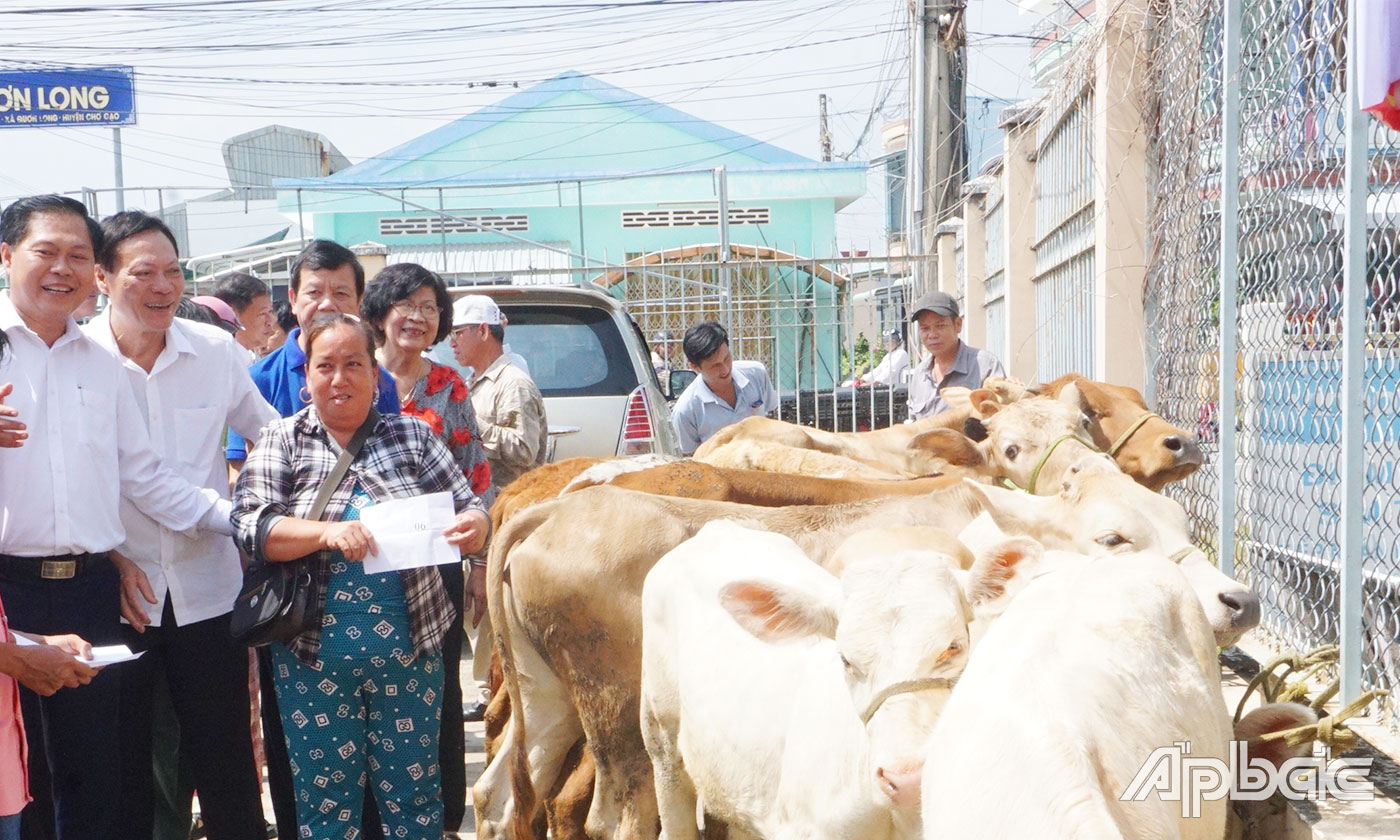 Các hộ dân rút thăm và nhận bò giống 