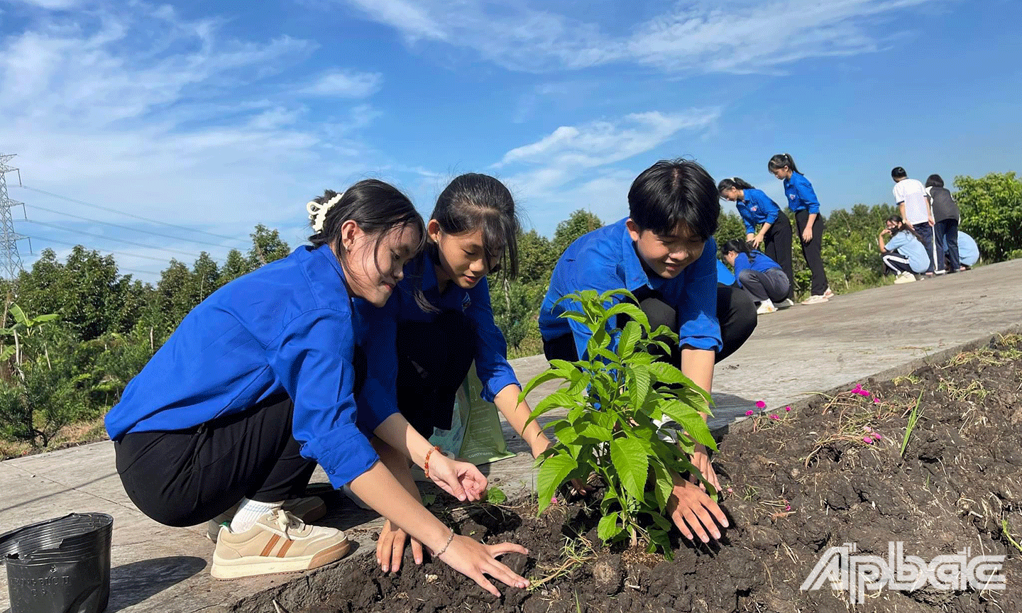Đoàn viên thanh niên tham gia trồng cây xanh 