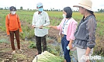 Huyện Tân Phú Đông: Trợ lực thúc đẩy sản xuất nông nghiệp bền vững