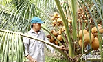Cựu chiến binh giúp nhau giảm nghèo, làm kinh tế giỏi