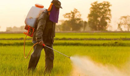 Việt Nam phải nhập khẩu khoảng 100.000 tấn thuốc bảo vệ thực vật mỗi năm