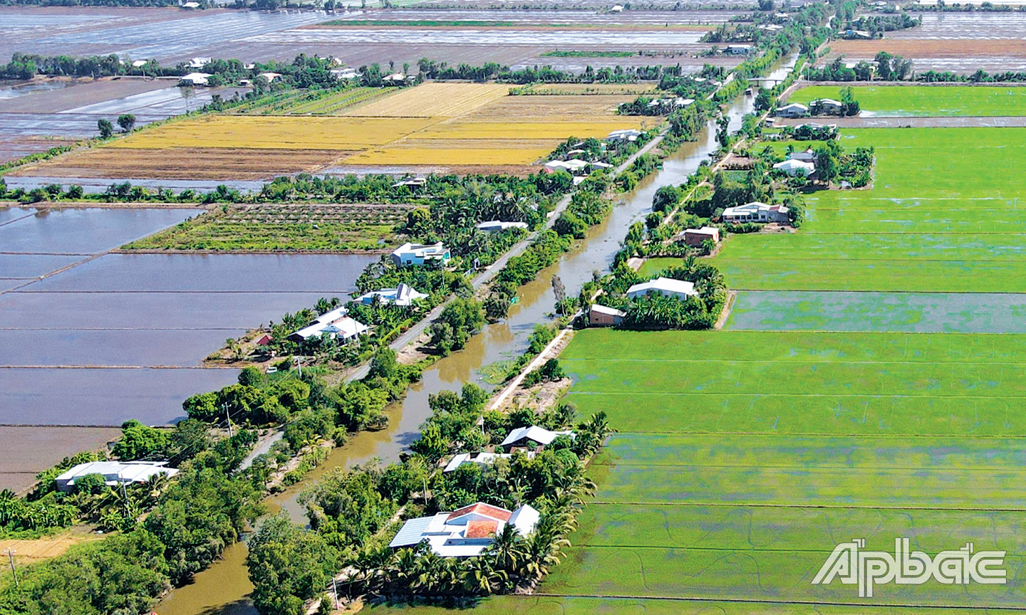  Bộ mặt khang trang của huyện Tân Phước với các tuyến đường nông thôn.       