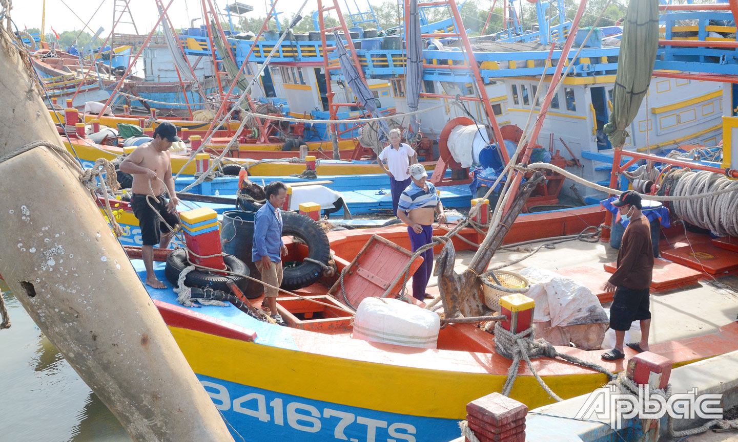 Tỉnh Tiền Giang đang triển khai quyết liệt các giải pháp chống khai thác IUU.