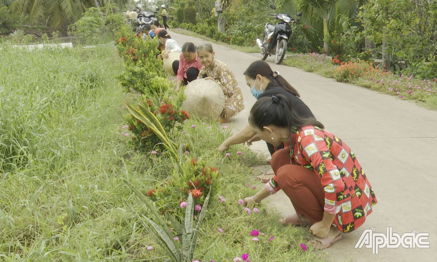 Chị Dung cùng các hội viên trong chi hội tích cực tham gia xây dựng tuyến đường “xanh - sạch - đẹp.