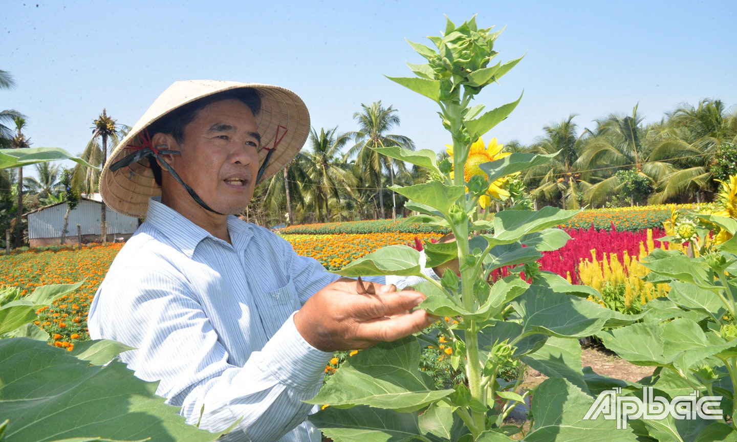 CCB Lê Văn Tiền, xã Lương Hòa Lạc với mô hình trồng hoa.