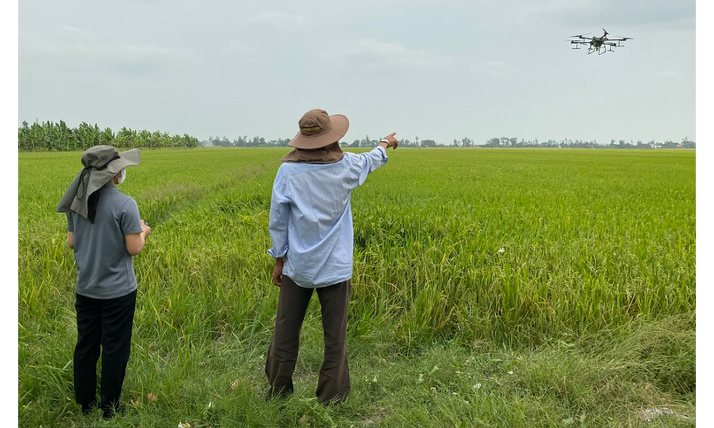 Đề án 1 triệu ha chuyên canh lúa chất lượng cao được kỳ vọng sẽ mang đến giải pháp tối ưu giúp gia tăng hiệu quả sản xuất cho nông dân và phát triển bền vững chuỗi giá trị ngành hàng lúa gạo tại ĐBSCL - Ảnh: VGP/Đỗ Hương