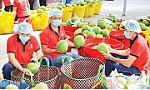 Maintaining the agricultural export market of China