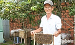 Ong mật, mang 