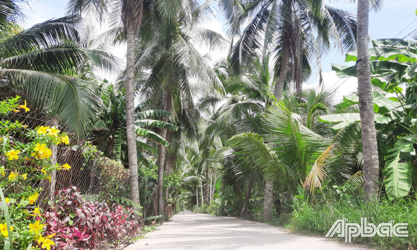 Hệ thống giao thông thông suốt đã đưa huyện cù lao Tân Phú Đông gần với đất liền và góp phần nâng cao đời sống  vật chất, tinh thần của người dân.