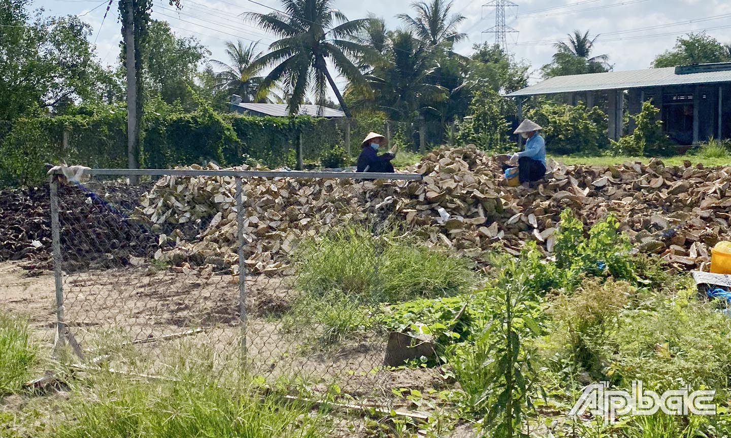 Vỏ sầu riêng đỏ dọc tuyến đường trên địa bàn xã Ngũ Hiệp để phơi khô.