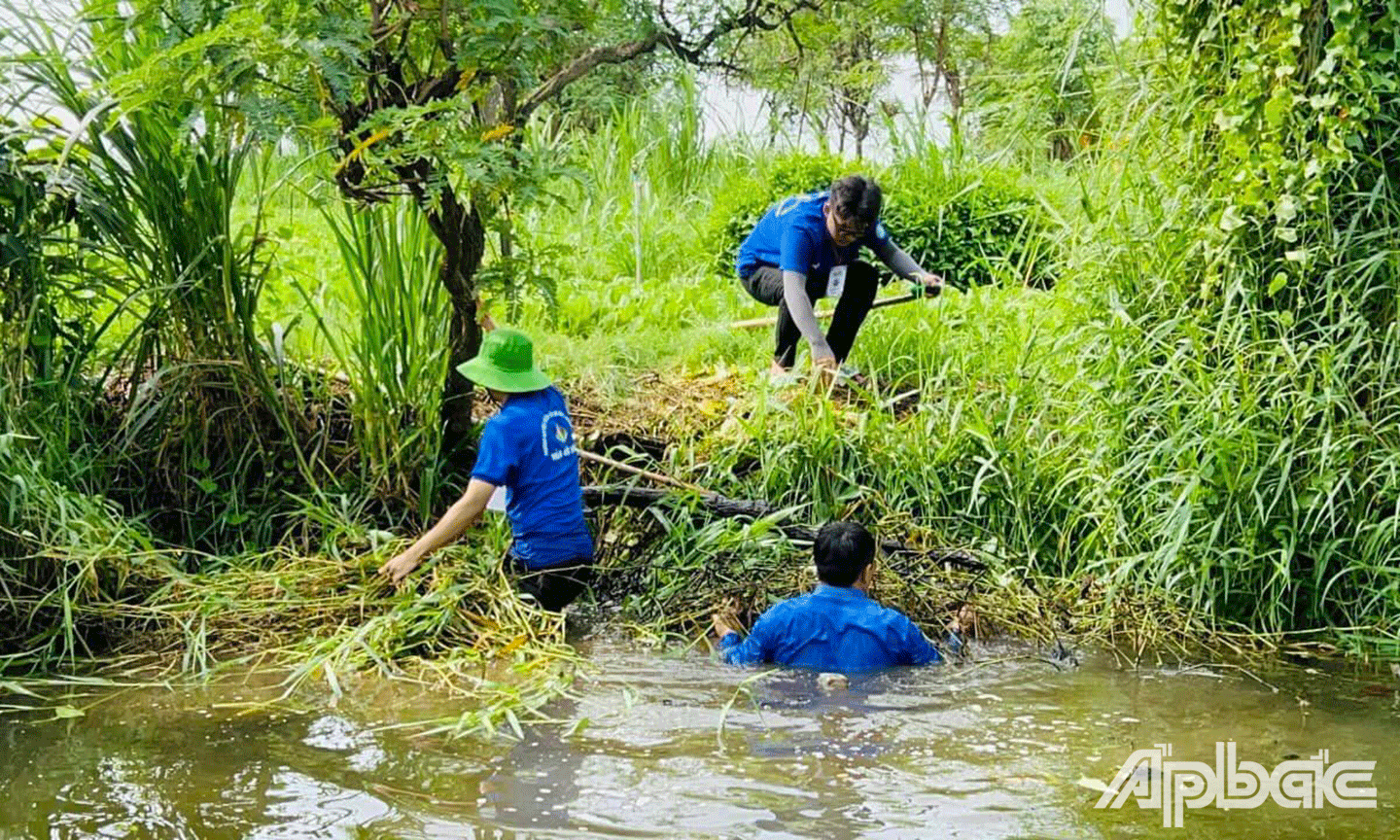 Thanh niên tham gia trục vớt lục bình, khơi thông dòng chảy trên các tuyến kênh 