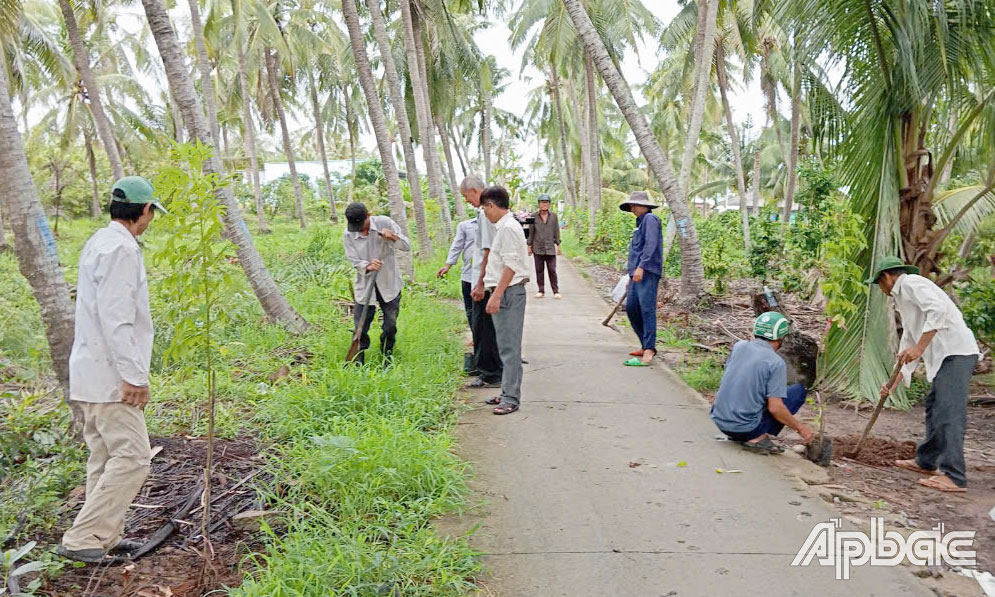 Hội CCB huyện Tân Phú Đông tích cực tham gia xây dựng NTM.