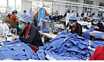 Vietnam, Bangladesh surpass India in low-cost manufacturing: WB