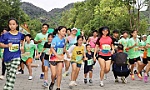 Over 1,500 runners take part in Hoa Lu Marathon 2024