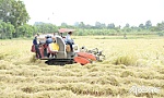 Bài 1: Những kết quả bước đầu