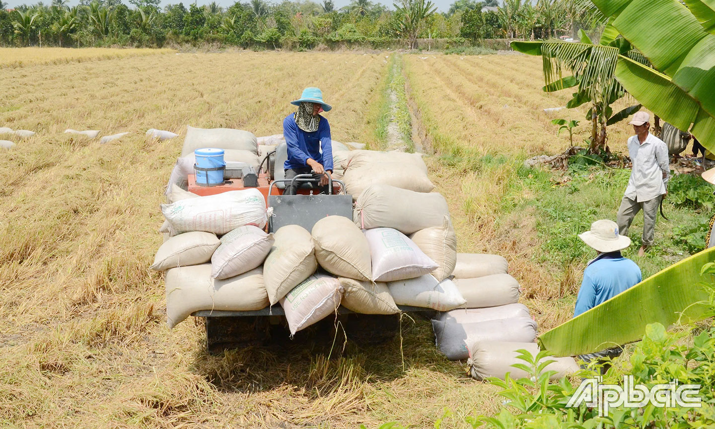 Tiền Giang đang tập trung triển khai nhiều chính sách hỗ trợ HTX.