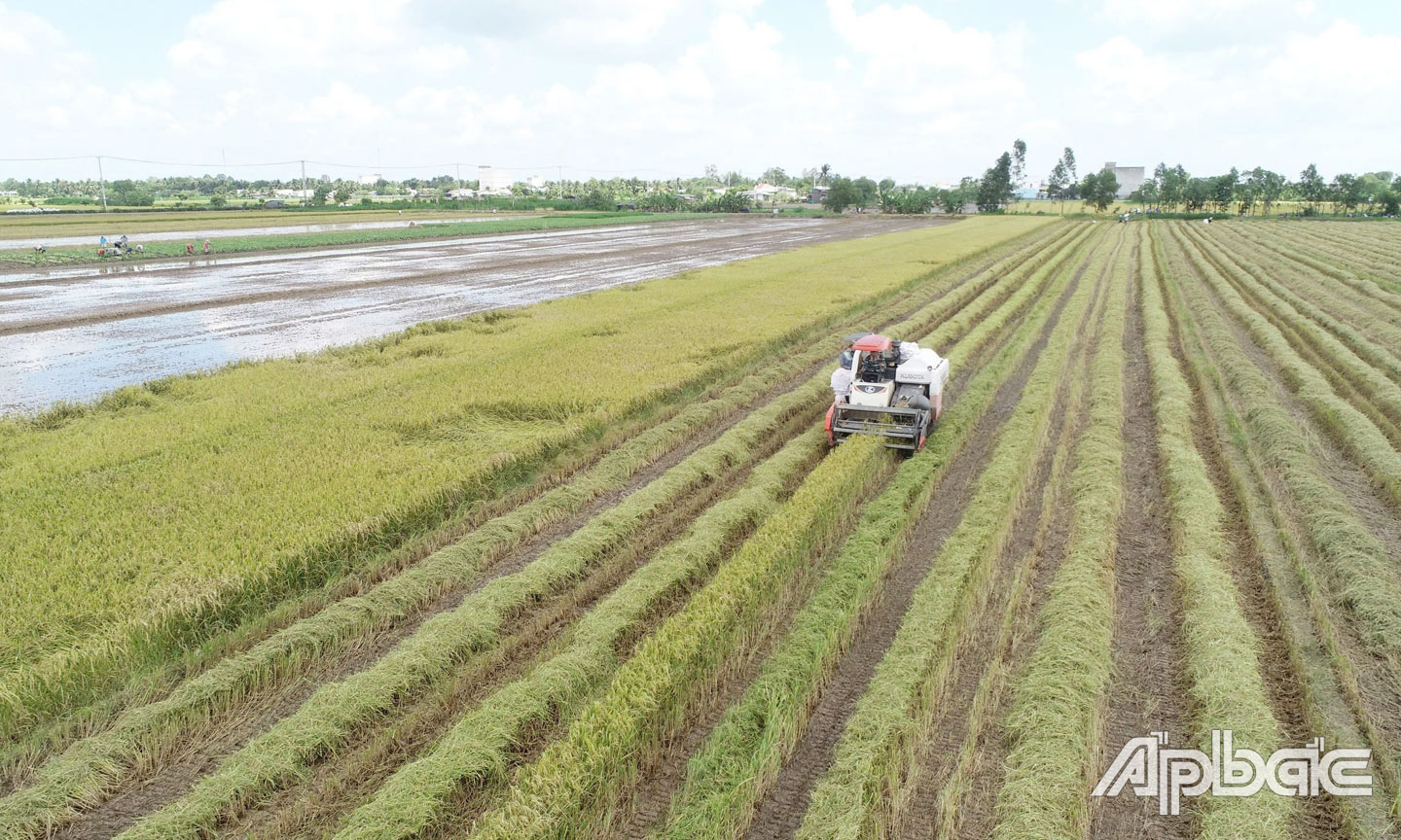 Các huyện phía Đông đang tập trung khai thác, phát huy thương hiệu 