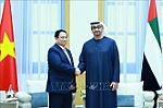 Thủ tướng Phạm Minh Chính hội đàm với Tổng thống UAE