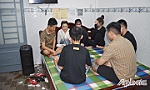 Bắt giữ các đối tượng tàng trữ, sử dụng trái phép chất ma túy