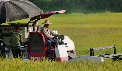 60% công nghệ bảo quản sau thu hoạch ở mức đơn giản