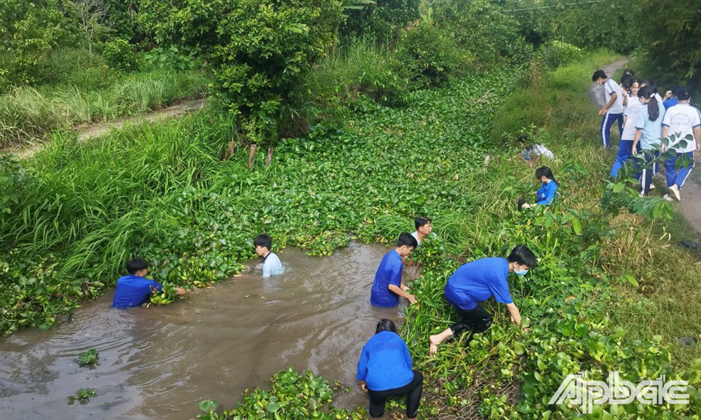 Phát huy sức trẻ của phong trào thanh niên tình nguyện