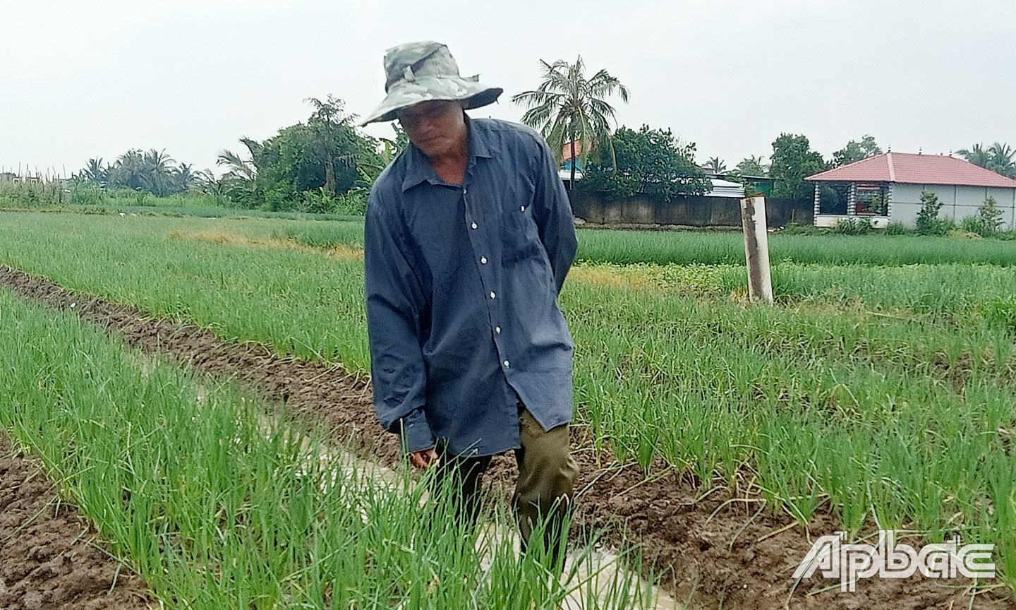 CCB Huỳnh Ngọc Cường.