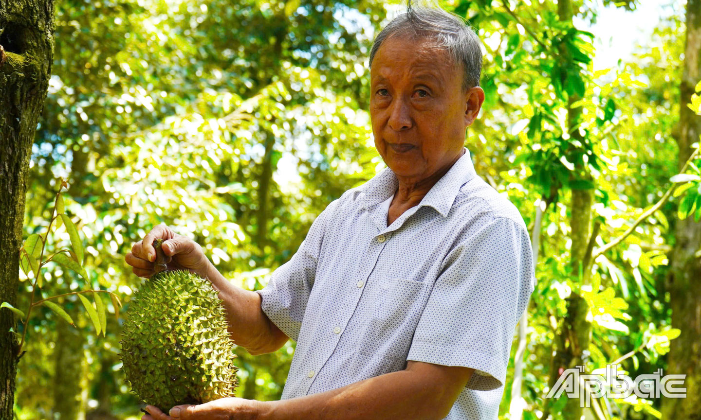 Ông Đây trở thành tỷ phú nhờ cây sầu riêng.