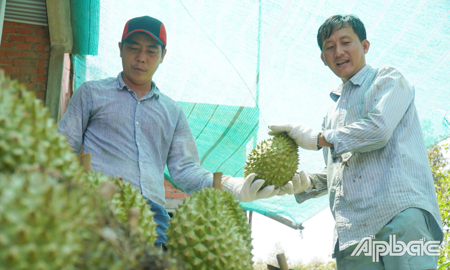 Thị trường xuất khẩu chính hiện nay vẫn là Trung Quốc, dễ dẫn tới rủi ro mất cân bằng về cung cầu trong thời gian tới.