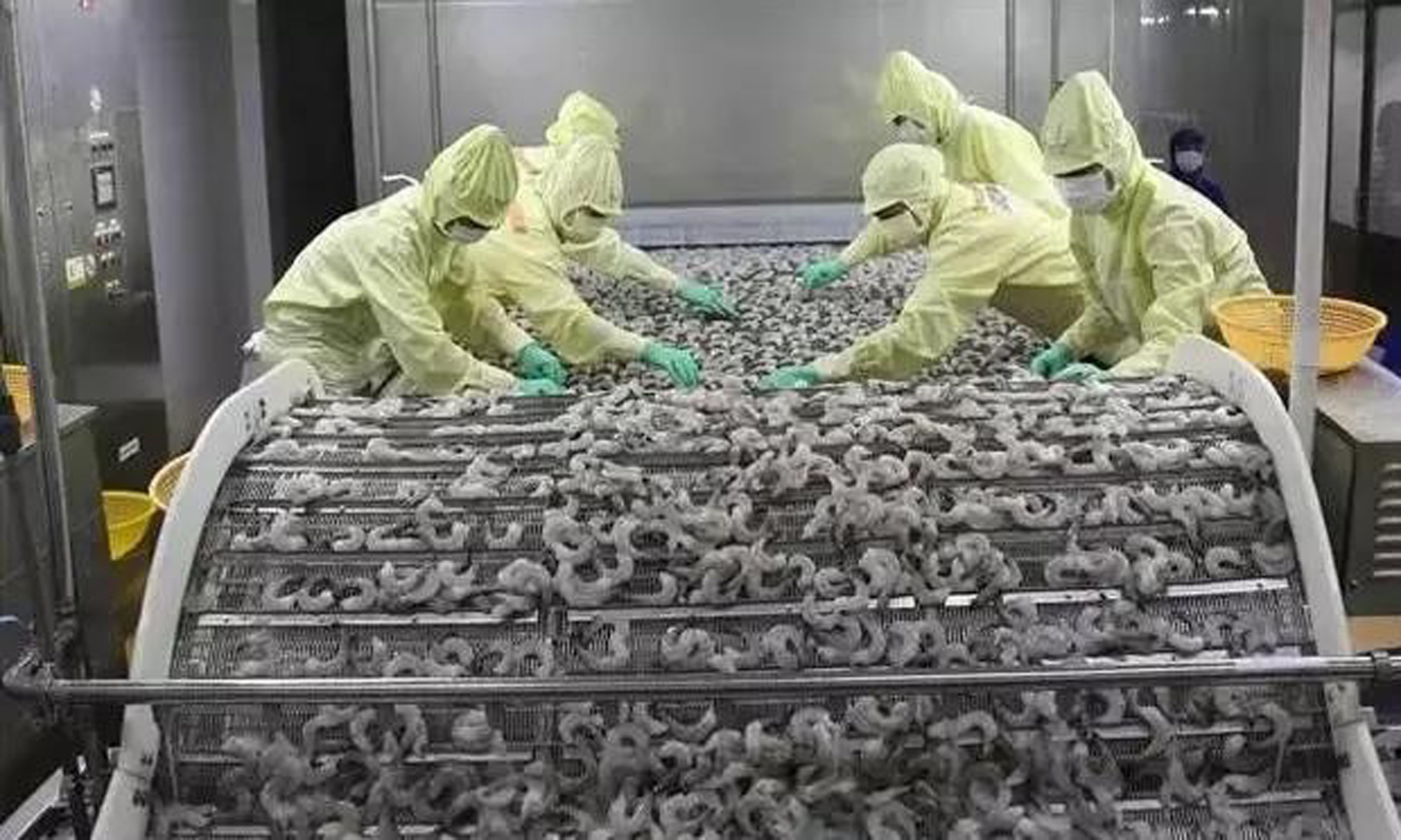 Shrimp processing for export (Photo: VNA).