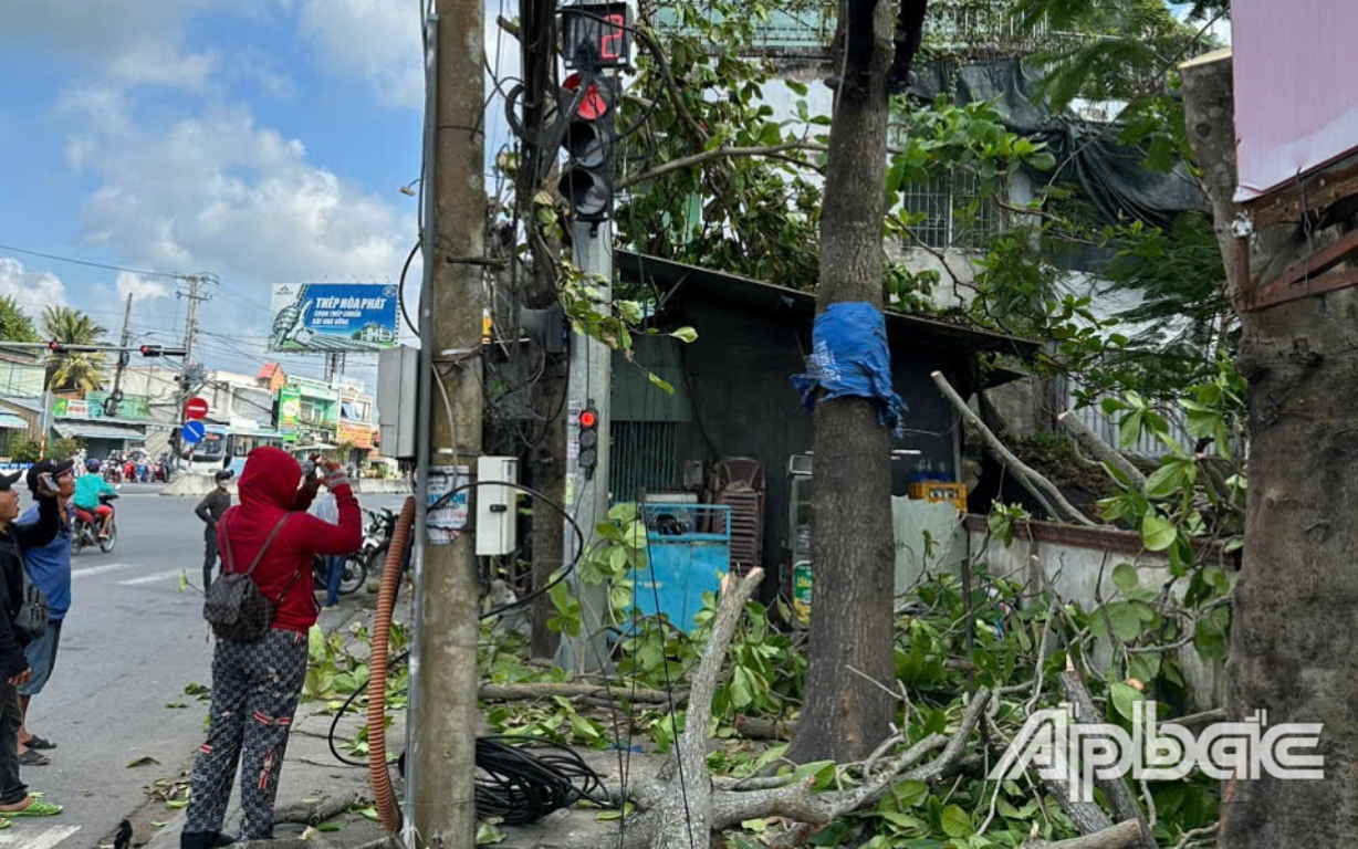 Phát quang, mé tỉa các cây xanh che khuất tầm nhìn.