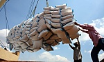 Vietnam still dominates Philippine rice import