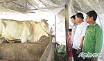 Xã Mỹ Thành Bắc truyền thông hiệu quả để giảm nghèo bền vững