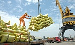 Rice exports top 8 million tonnes