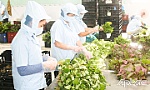 Nâng chất sản phẩm, tăng thu nhập cho thành viên