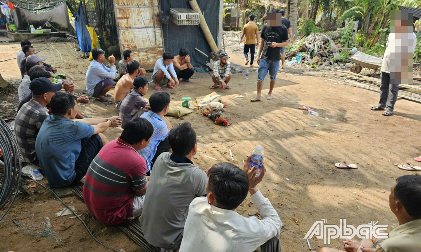 Tham gia đá gà ăn thua bằng tiền, 15 đối tượng bị khởi tố