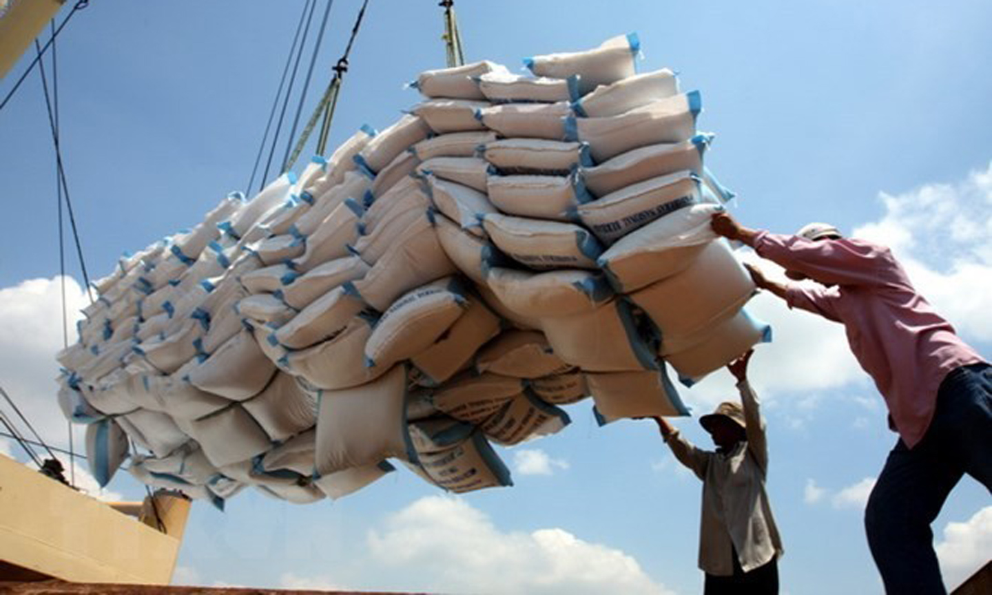 Loading rice for export (Photo: VNA).