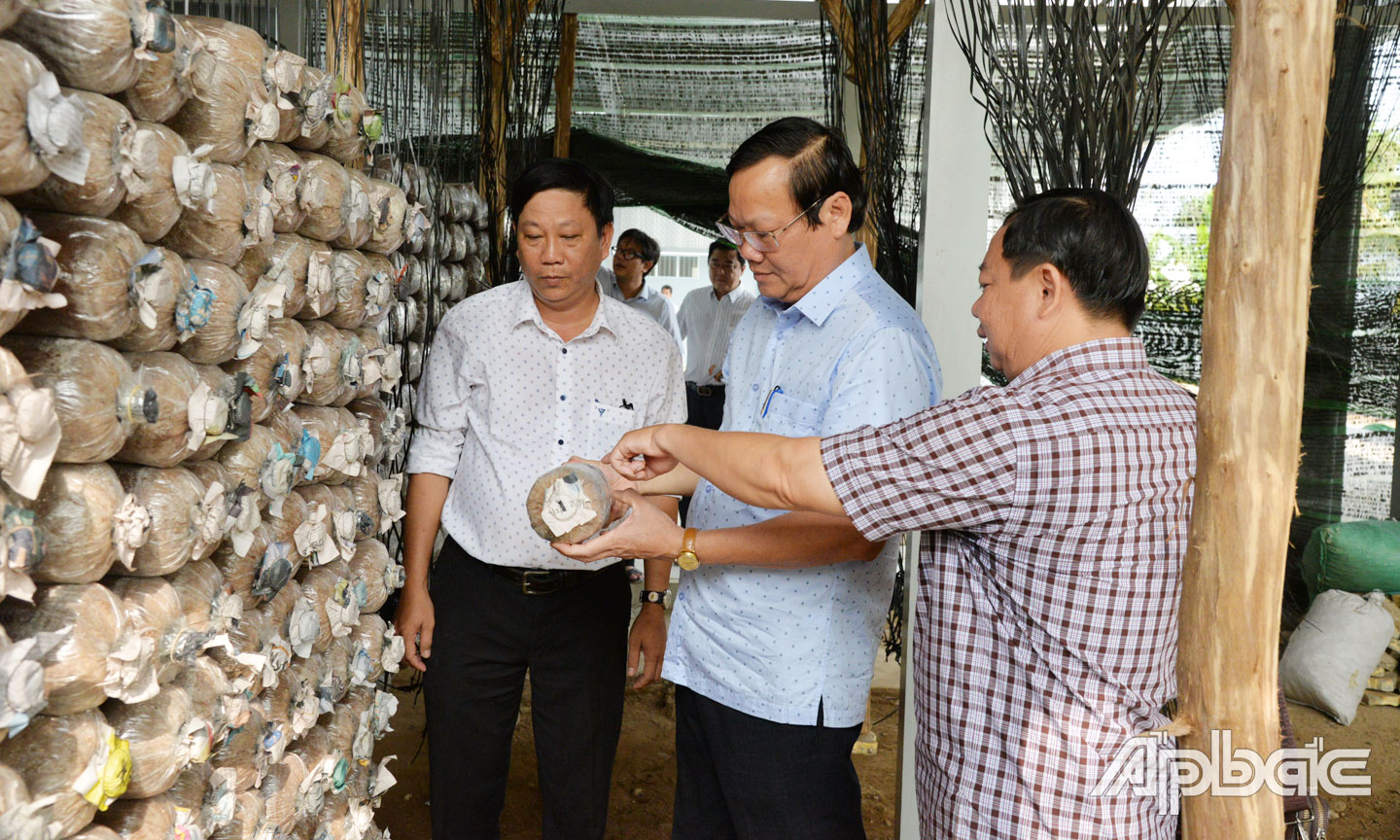  Lãnh đạo tỉnh tham quan mô hình trồng nấm bào ngư tại Trung tâm Kỹ thuật và Công nghệ sinh học tỉnh Tiền Giang.                                                                                                                                                                          Ảnh: THU HOÀI