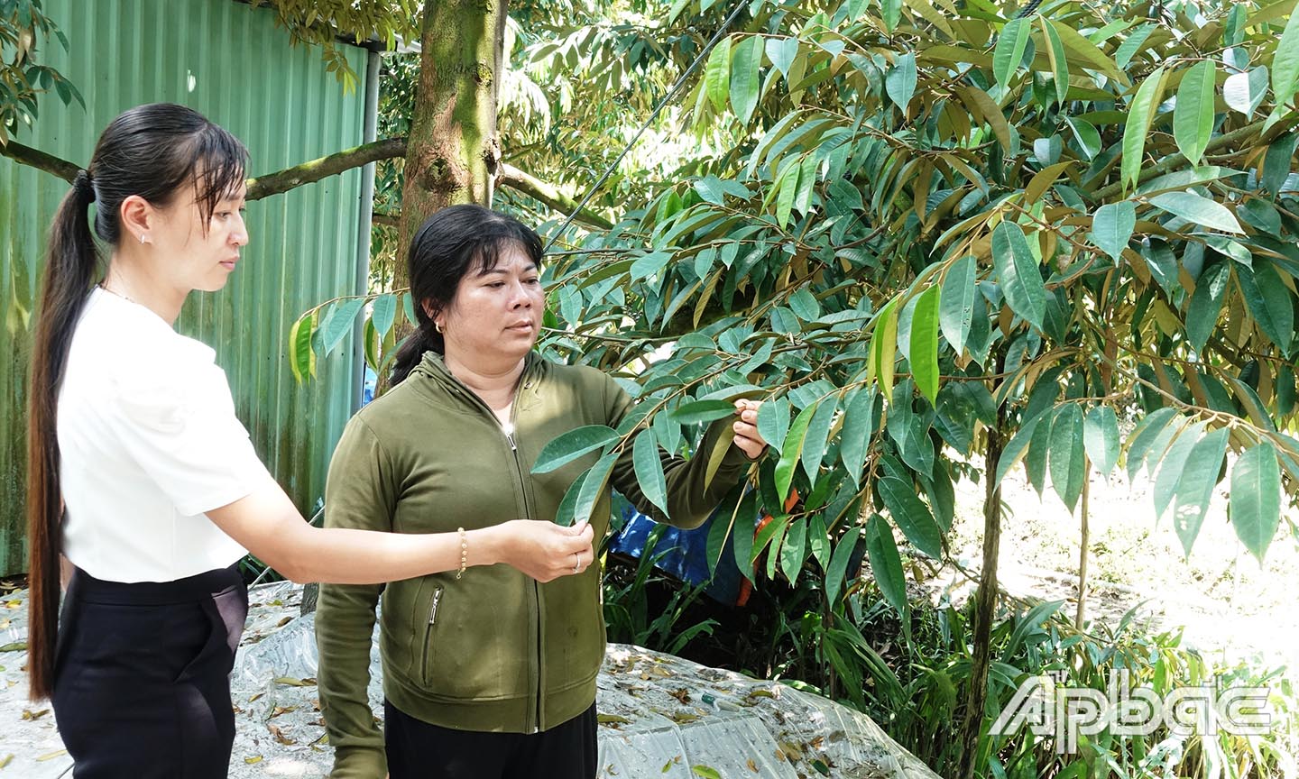 Từ vốn vay ưu đãi, chị Thái Thị Thanh Thủy (bên phải) đã có điều kiện phát triển kinh tế gia đình.