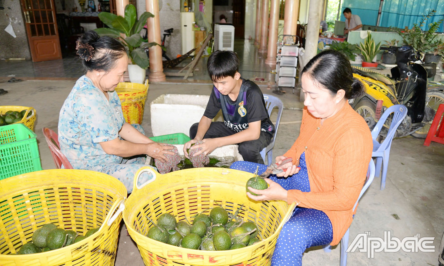 Tình hình KT-XH huyện Cái Bè tiếp tục được giữ vững, ổn định; nông dân trúng mùa, được giá. 