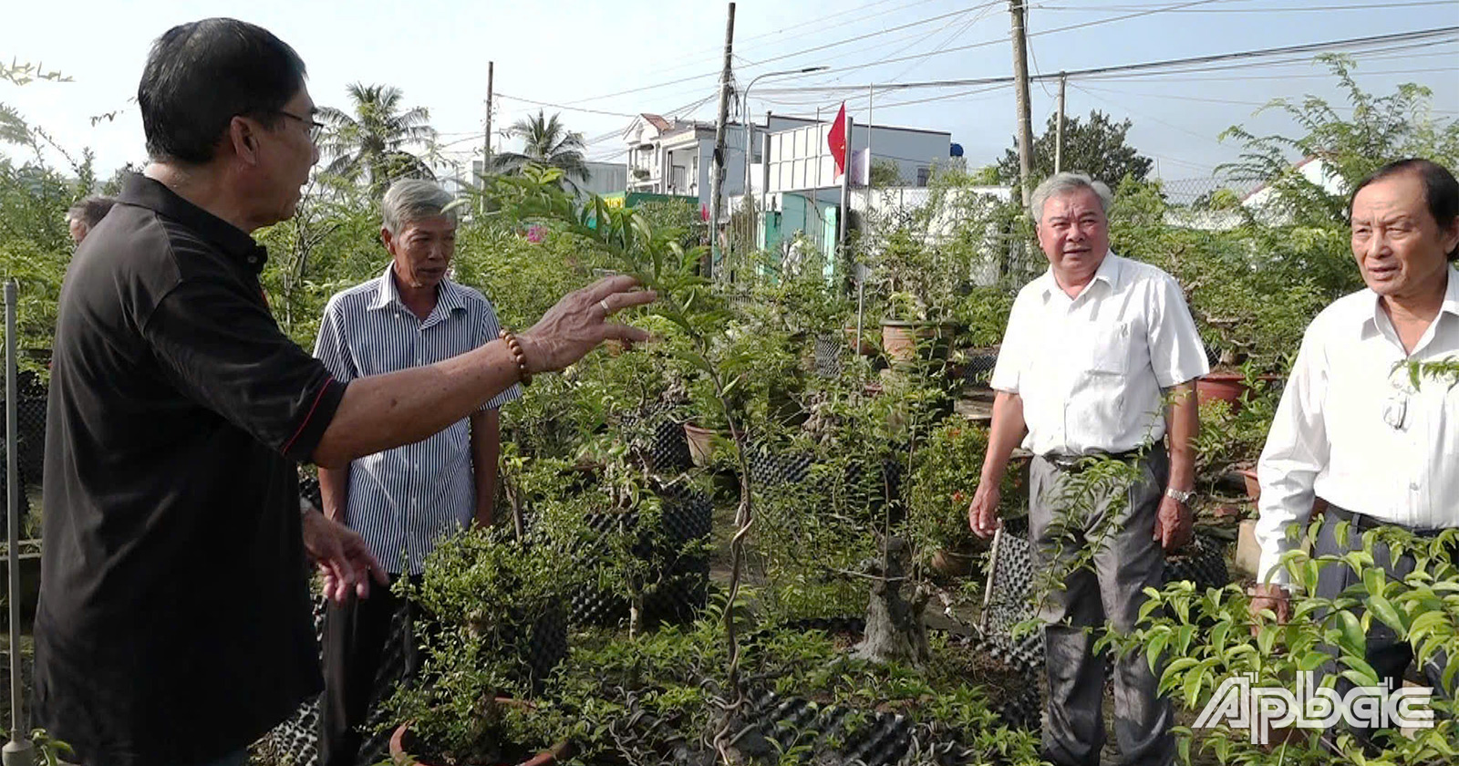 Tham quan mô hình trồng kiểng cổ hoi viên nông dân le van Quang thi trán vinh binh