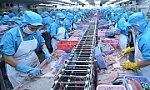 Vietnam's seafood export hits 1 billion USD mark for October