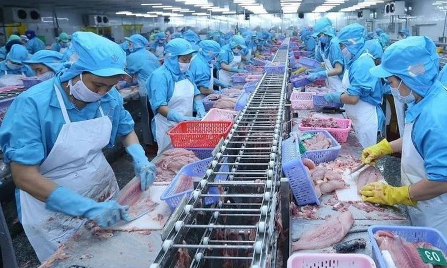 Vietnam's seafood export hits 1 billion USD mark for October