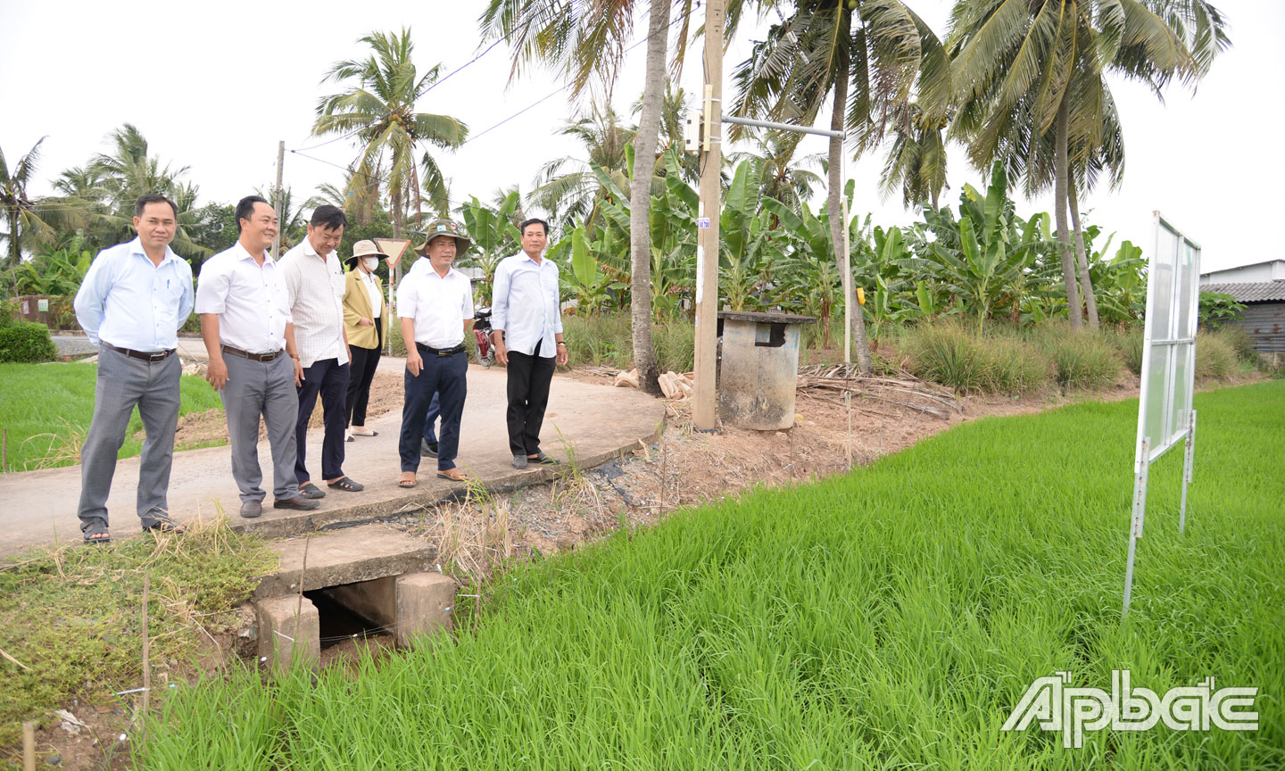 Liên kết sản xuất và tiêu thụ sản phẩm giúp hoạt động của các HTX ổn định và hiệu quả. 