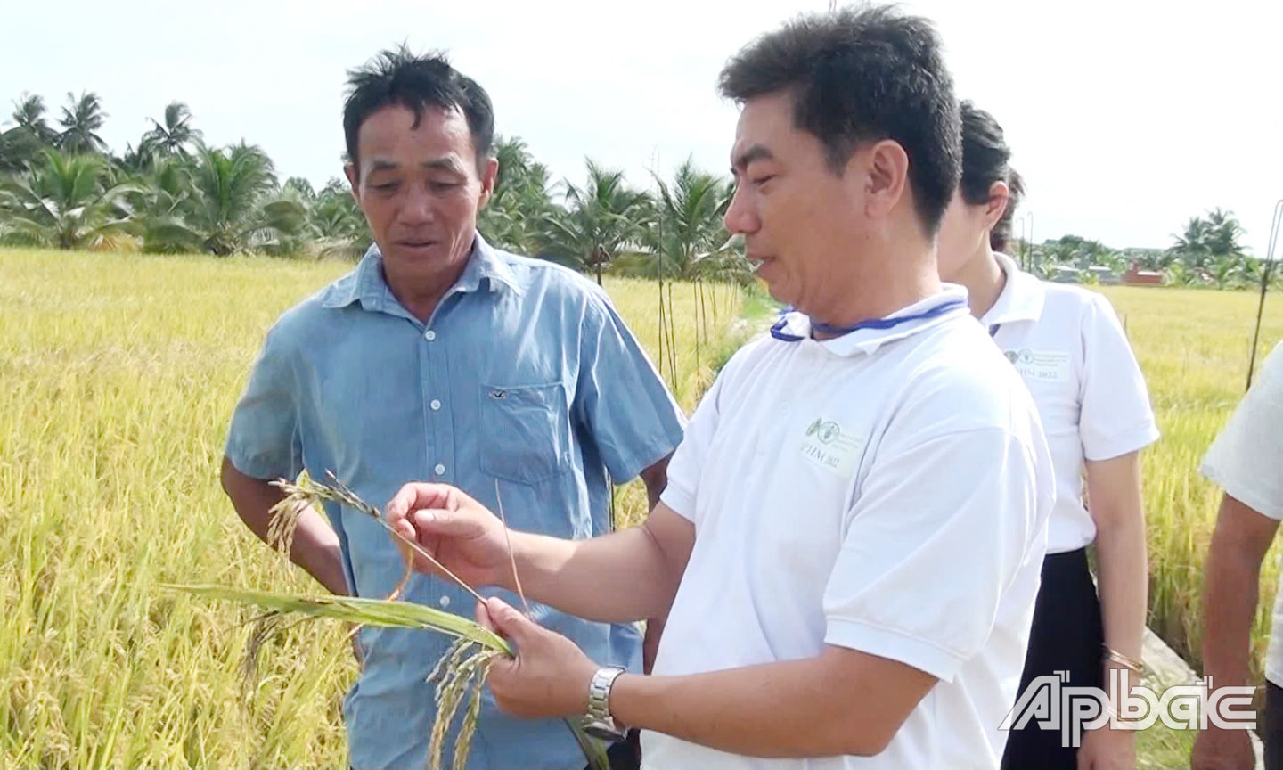  Trung tâm Bảo vệ thực vật phía Nam tổ chức chuyển giao khoa học - kỹ thuật về sản xuất lúa an toàn cho nông dân huyện.